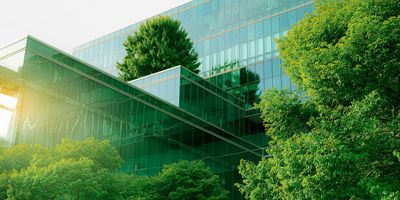 glass walled office building surrounded by lush green trees