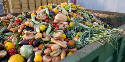 Pile of food waste in a dumpster