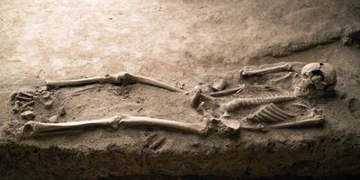 ancient human skeletal remains partially unearthed from light brown dirt or sand