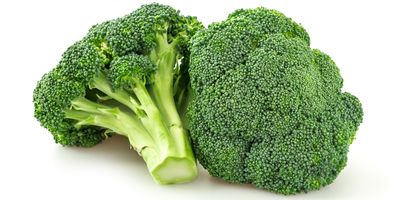 Two pieces of raw broccoli on a white background