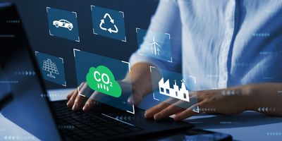 Man at a computer looking at renewable energy options