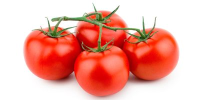 Four bright red tomatoes on a green vine with a white background