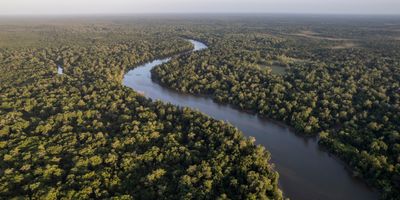 Aerial image of a tropical forest with a river