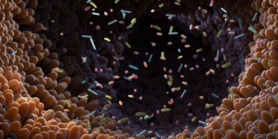 a 3D illustration showing a variety of microbes surrounded by intestinal microvilli