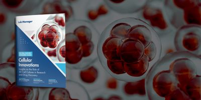 Elevate your research with insights on 3D cell cultures methods, the impact of organoids in drug development, and AI’s role in advancing organoid analysis.