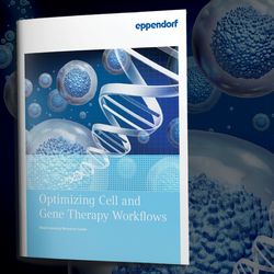 Optimizing Cell and Gene Therapy Workflows