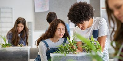 Multiethnic students analyzing and working on plant experiment in school lab