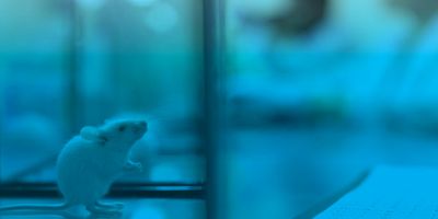 A blue-tinged photo of a testing mouse in a laboratory with scientists working in the background