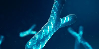 Computer image of Y chromosome floating on a blue background