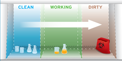 Graphic depicting the workflow from clean to dirty biosafety cabinet