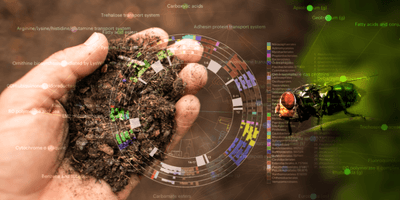 a hand holding a scoop of dirt with an overlaid circle depicting a phylogenetic grouping of microbes and a red-eyed fly on the right side of the image, representing an insect-borne suite of microbes that helps decompose flesh after death according to a rigid timetable