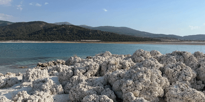 Many microbial structures on the shores of Lake Salda in Turkey are exposed as water levels drop, allowing scientists to study relationships between life and the surrounding environment.